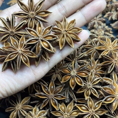 广西大红八角足干大料大茴香八角片八角把香辛料商用调味料批发图2