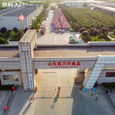 蒜酥潮汕风味油炸蒜粒出巴西油炸蒜蓉 蒜朥蒜头朥蒜茸 蒜头酥蒜酥图2