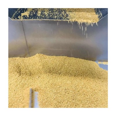 蒜酥潮汕风味油炸蒜粒出巴西油炸蒜蓉 蒜朥蒜头朥蒜茸 蒜头酥蒜酥图4