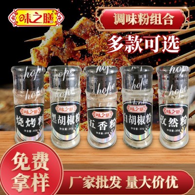 调味品白胡椒黑胡椒粉五香花椒香辣椒盐孜然粉家用烧烤烹饪调味料 调味品白胡椒黑胡椒粉五香花椒香辣椒盐孜然粉家用烧烤烹饪调味料