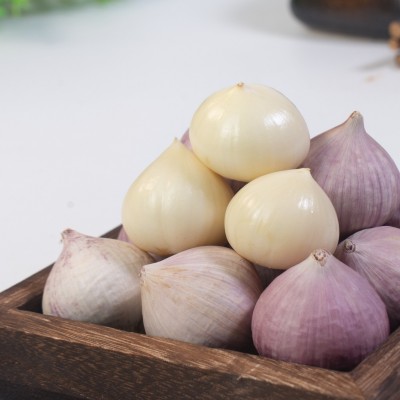 厂家直供 有机认证 精选有机独头蒜 批发代发