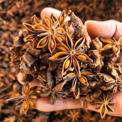 八角500g大料大茴香10月新货大红另香叶桂皮花椒草果香料调料卤料图3