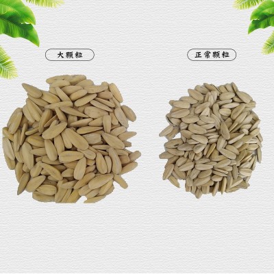 多味瓜子5斤多味瓜子500g年货白色葵瓜子批發散装坚果炒货休闲图3