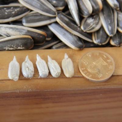 生瓜子361葵花籽601新货新鲜散装年货批发363原味5斤装大颗粒图2