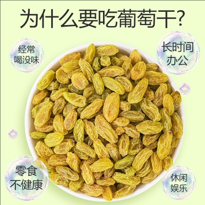 新疆葡萄干特级新货烘焙大颗粒饱满特产果干无核酸甜解馋一件代发图2