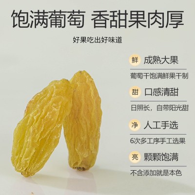 新疆葡萄干特级新货烘焙大颗粒饱满特产果干无核酸甜解馋一件代发图4