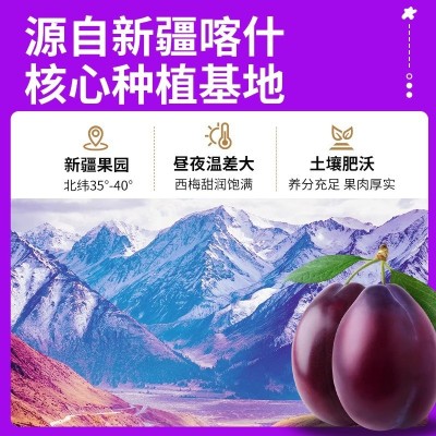 西梅干无糖无添加新疆喀什特产特级无核排纯天然果干蜜饯果脯水果图3
