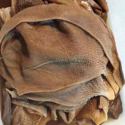 新鲜毛肚火锅包邮火锅串串食材牛百叶牛肚大叶片重庆新鲜牛肚商用 1袋图4