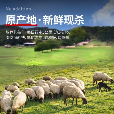 原切羊小腿切块带骨新鲜滩羊羊肉羊腱子前腱6斤羔羊腿肉烧烤生鲜 1件图4