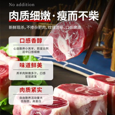 原切羊小腿切块带骨新鲜滩羊羊肉羊腱子前腱6斤羔羊腿肉烧烤生鲜 1件图2