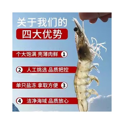 20/30大虾3斤青岛大虾新鲜海捕基围白虾盐冻大白虾厄瓜多尔南美 1件图3
