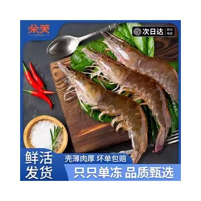 20/30大虾3斤青岛大虾新鲜海捕基围白虾盐冻大白虾厄瓜多尔南美 1件