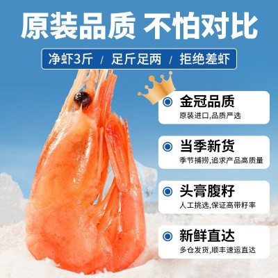 加拿大北极虾甜虾头腹籽北极熊甜虾刺身即食元宝冰虾3斤批发商用 1盒图3