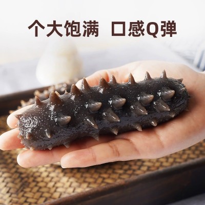 批发野生即食海参肉质鲜美口感Q弹500g袋装鲜食海参低压锁鲜 3包图2