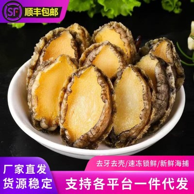 新鲜冷冻鲍鱼肉鲜活速冻冻去牙去壳去内脏火锅食材海鲜水产批发 3斤