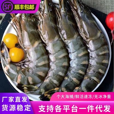 鲜活速冻黑虎虾新鲜无冰黑虎虾大号老虎虾九节斑节虾海鲜水产批发 2盒