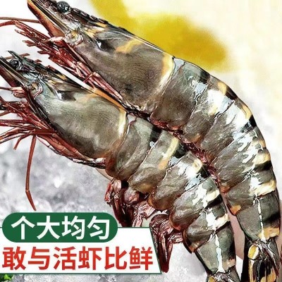 鲜活速冻黑虎虾新鲜无冰黑虎虾大号老虎虾九节斑节虾海鲜水产批发 2盒图3