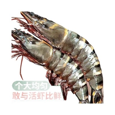 鲜活速冻黑虎虾新鲜无冰黑虎虾大号老虎虾九节斑节虾海鲜水产批发 2盒图5