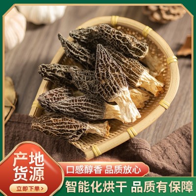 羊肚菌干货头茬羊肚菌干菌散装批发食用菌100g羊肚菌干货 100G