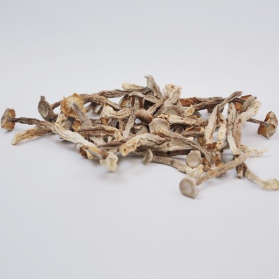 鹿茸菇鹿茸菌250g干货新鲜营养菌菇干香菇菌类新货脆嫩煲汤食材 2件图2