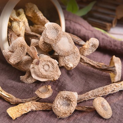 鹿茸菇鹿茸菌250g干货新鲜营养菌菇干香菇菌类新货脆嫩煲汤食材 2件图3