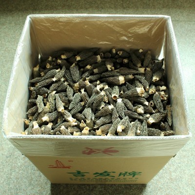 厂家直供羊肚菌新鲜干货颜色好剪脚羊肚菌250克 1袋图4