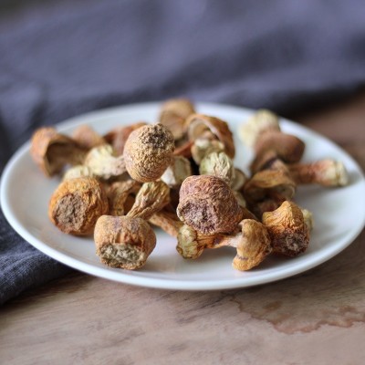 原色姬松茸干货煲汤食材500g 2件图3