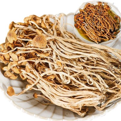 一件代发干茶树菇一整箱茶树菇 干茶树菇未开伞1斤装原产地批 1件图5