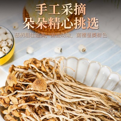 一件代发干茶树菇一整箱茶树菇 干茶树菇未开伞1斤装原产地批 1件图3