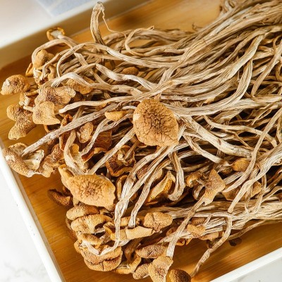 一件代发干茶树菇一整箱茶树菇 干茶树菇未开伞1斤装原产地批 1件图4