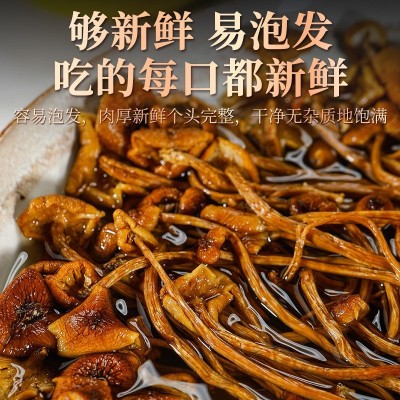 一件代发干茶树菇一整箱茶树菇 干茶树菇未开伞1斤装原产地批 1件图2