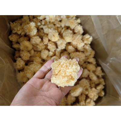 水洗新货无根小银耳干货福建古田白木耳出胶糯银耳莲子羹 1件图3