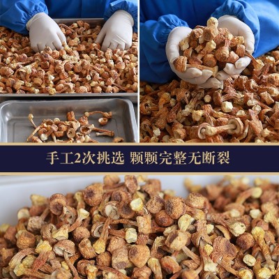 【批发代加工】姬松茸250克干货巴西蘑菇干菌菇干货批发新货源头 2件图4