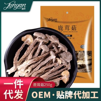 【批发代加工】菌妍鹿茸菇脆脆菇鹿茸菌菇干货批发云南特产新货 2件