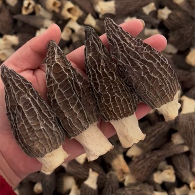 精品羊肚菌干货批发商用散装剪柄头茬250g高档礼盒装产地6-9 1袋图2