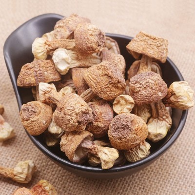 姬松茸干货批发 本色原色姬松茸菇云南干蘑菇菌巴西菇不染色500g 1件