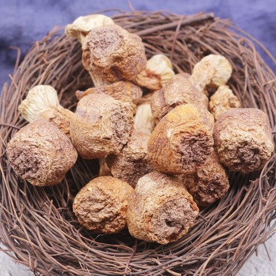 姬松茸干货批发 本色原色姬松茸菇云南干蘑菇菌巴西菇不染色500g 1件图5