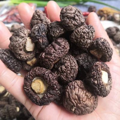 香菇干货珍珠菇黑色肉厚金钱菇 小香菇批发散装 冬菇剪脚福建漳平 1件