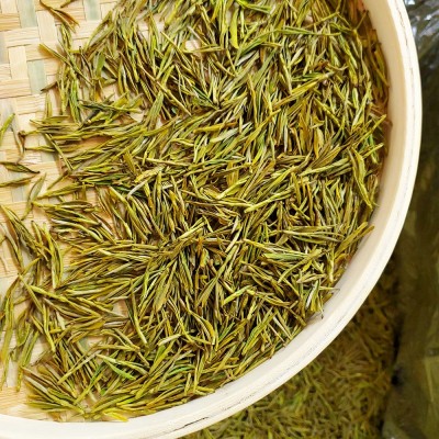 2025新茶上市明前黄金芽茶叶黄茶黄金白茶绿茶批发豆香耐泡型批发 1斤