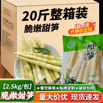 2.5kg甜笋清水笋火锅餐饮酒店半成品食材进货嫩笋尖笋丝笋干脆嫩 1包