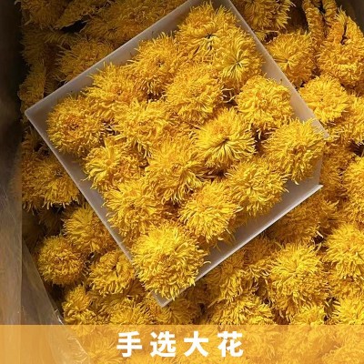 黄山发货金丝皇菊花茶一朵一杯大中小菊花茶休闲茶清香甘甜 1斤图5