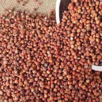 高粱红高粱酿酒高粱酿醋大颗粒高粱食品酒厂饲料加工原料 2件图4