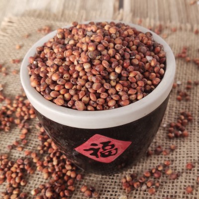 高粱红高粱酿酒高粱酿醋大颗粒高粱食品酒厂饲料加工原料 2件图3