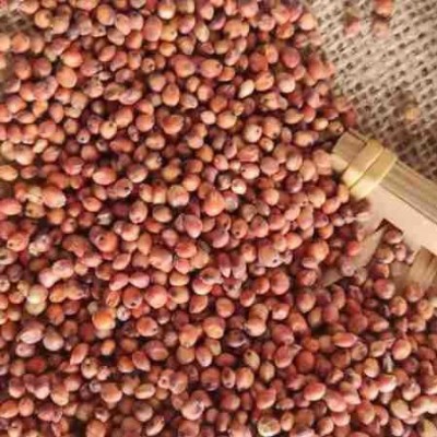 高粱红高粱酿酒高粱酿醋大颗粒高粱食品酒厂饲料加工原料 2件图5