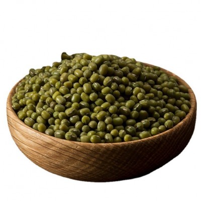 芽绿豆 生芽绿豆 生豆芽绿豆中颗粒小颗粒批发大包100斤 2件图5