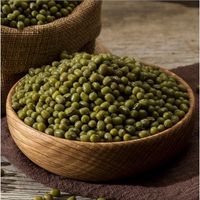 芽绿豆 生芽绿豆 生豆芽绿豆中颗粒小颗粒批发大包100斤 2件图4