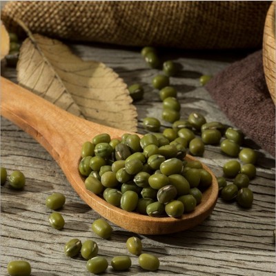 芽绿豆 生芽绿豆 生豆芽绿豆中颗粒小颗粒批发大包100斤 2件图3