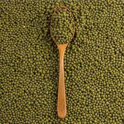 芽绿豆 生芽绿豆 生豆芽绿豆中颗粒小颗粒批发大包100斤 2件