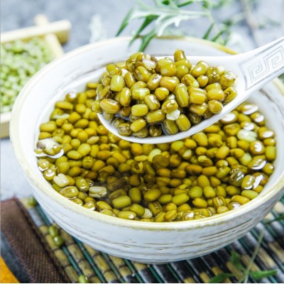 绿豆 绿豆批发 中颗粒绿豆 绿豆汤批发大包25kg50斤 2件图4