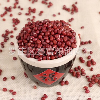 新到2024年东北新红小豆珍珠粒 珍珠红小豆 红豆 手选红小豆 1件图2